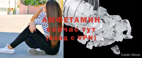 сатива Волоколамск