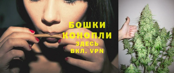 сатива Волоколамск