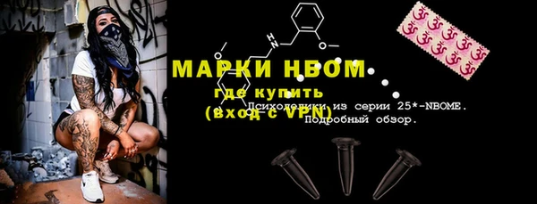 сатива Волоколамск