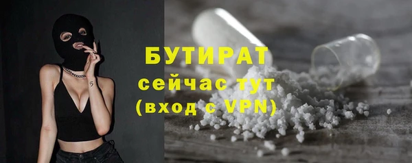 сатива Волоколамск