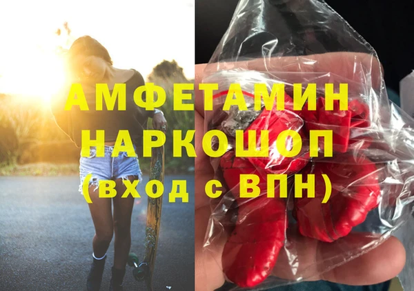 сатива Волоколамск