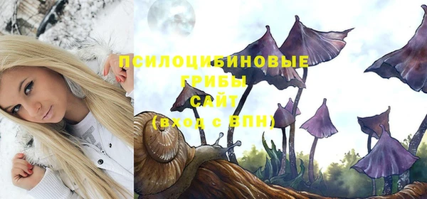 соль ск Володарск