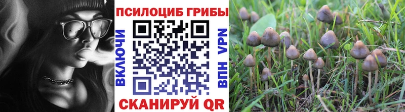 Галлюциногенные грибы прущие грибы купить наркоту Нолинск